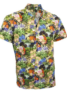 Гавайская рубашка DONDUP