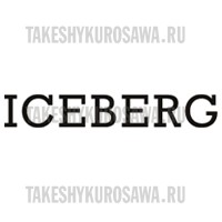 ZZZ_Iceberg.jpg