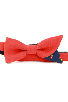 Красная галстук бабочка Takeshy Kurosawa